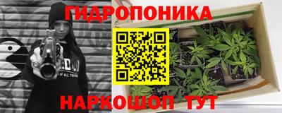 apvp Апшеронск