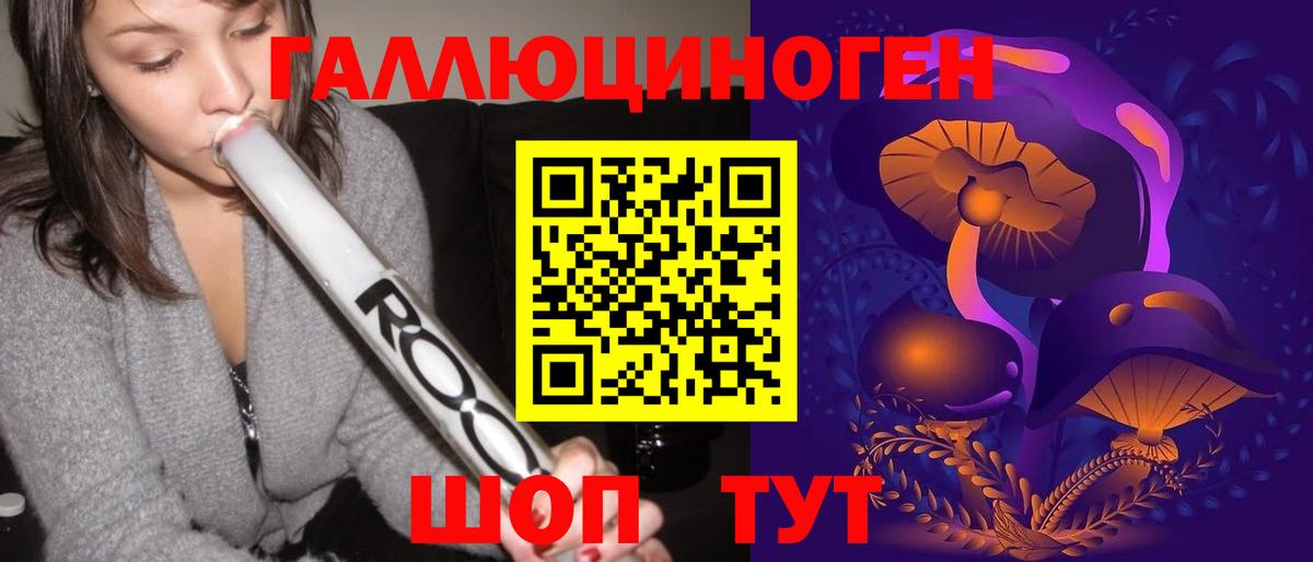 Псилоцибиновые грибы Psilocybe Богородск