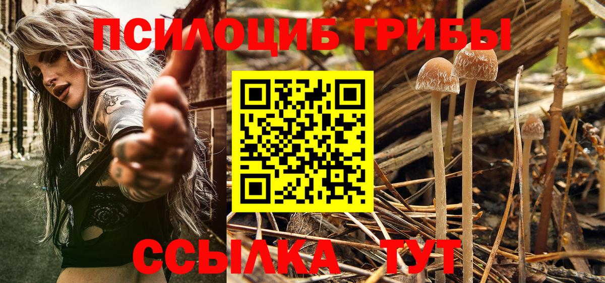 Богородск  Псилоцибиновые грибы ЛСД  Галлюциногенные грибы Psilocybe  Вход с VPN 